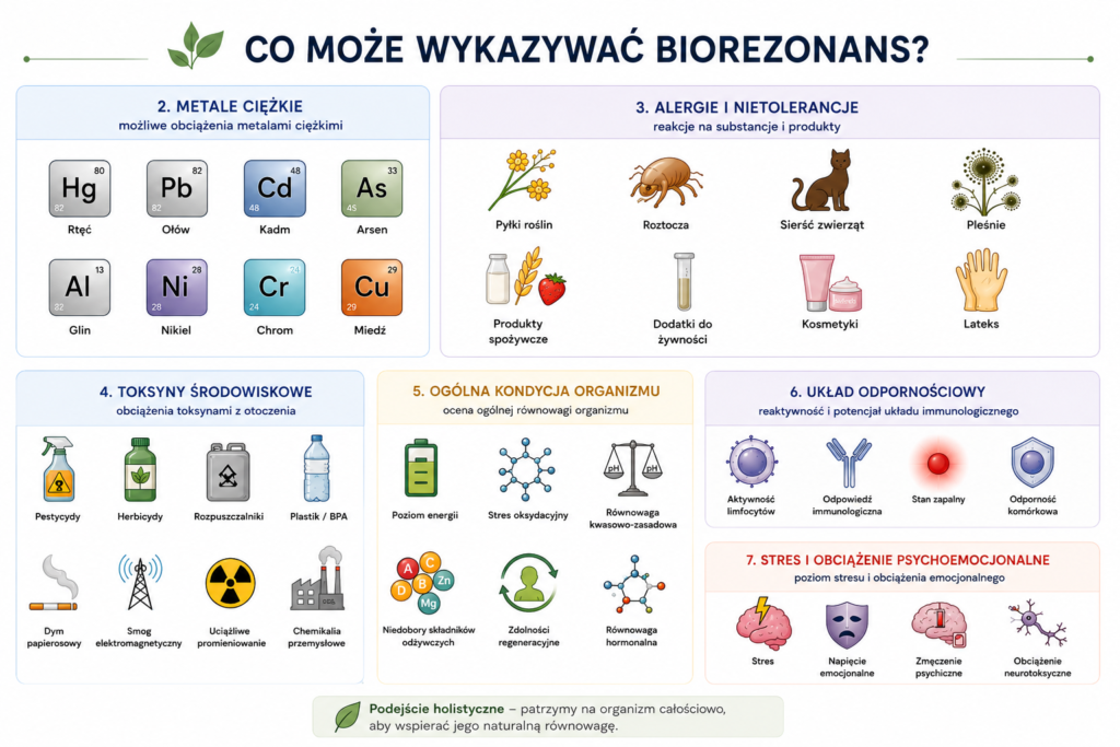 co można zbadać biorezonanasem